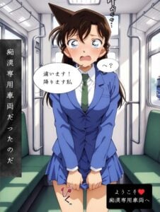 【名探偵コナン】痴●専用車両に乗り込んでしまった毛利蘭〜終わらない中出し地獄〜【本編＋CG集】